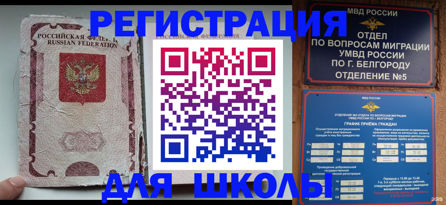 прописка штамп в Мончегорске