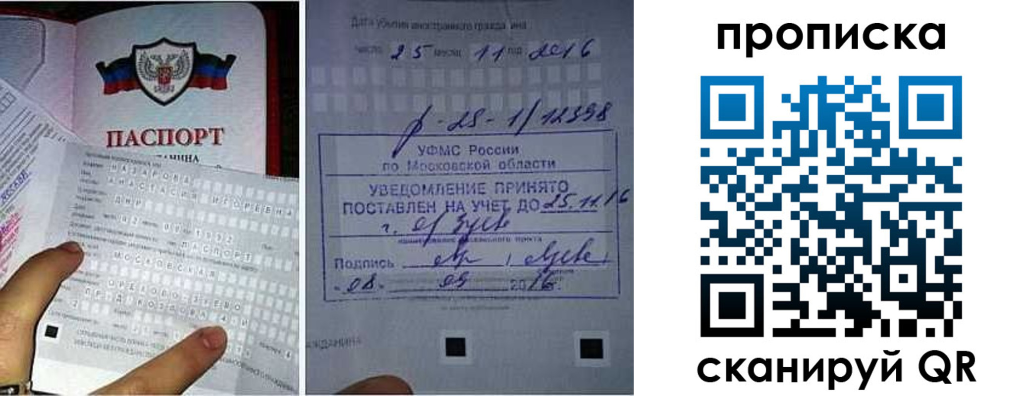 регистрация в Мончегорске